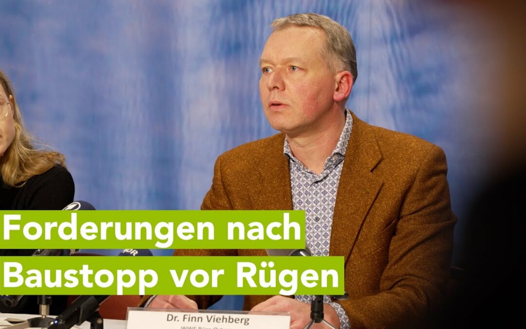 Umweltverbände fordern Baustopp des LNG-Terminals vor Rügen