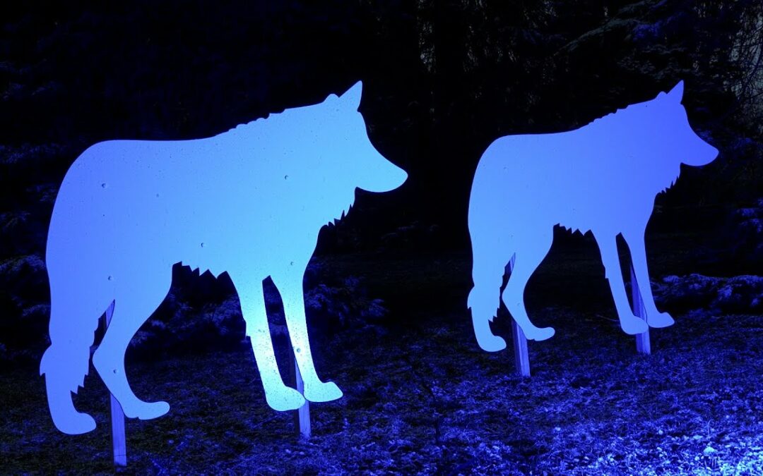 125 Jahre Rostocker Zoo – Polarlichter leuchten ins Jubiläumsjahr