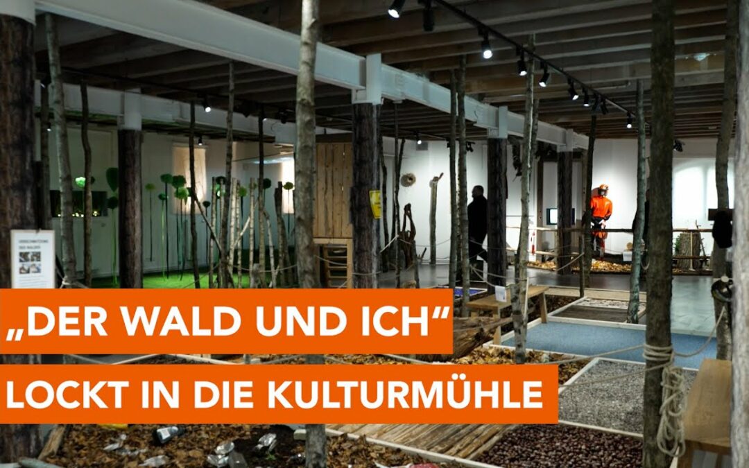 „Der Wald und ICH“ – Familien-Ausstellung im Museum Parchim in Kulturmühle