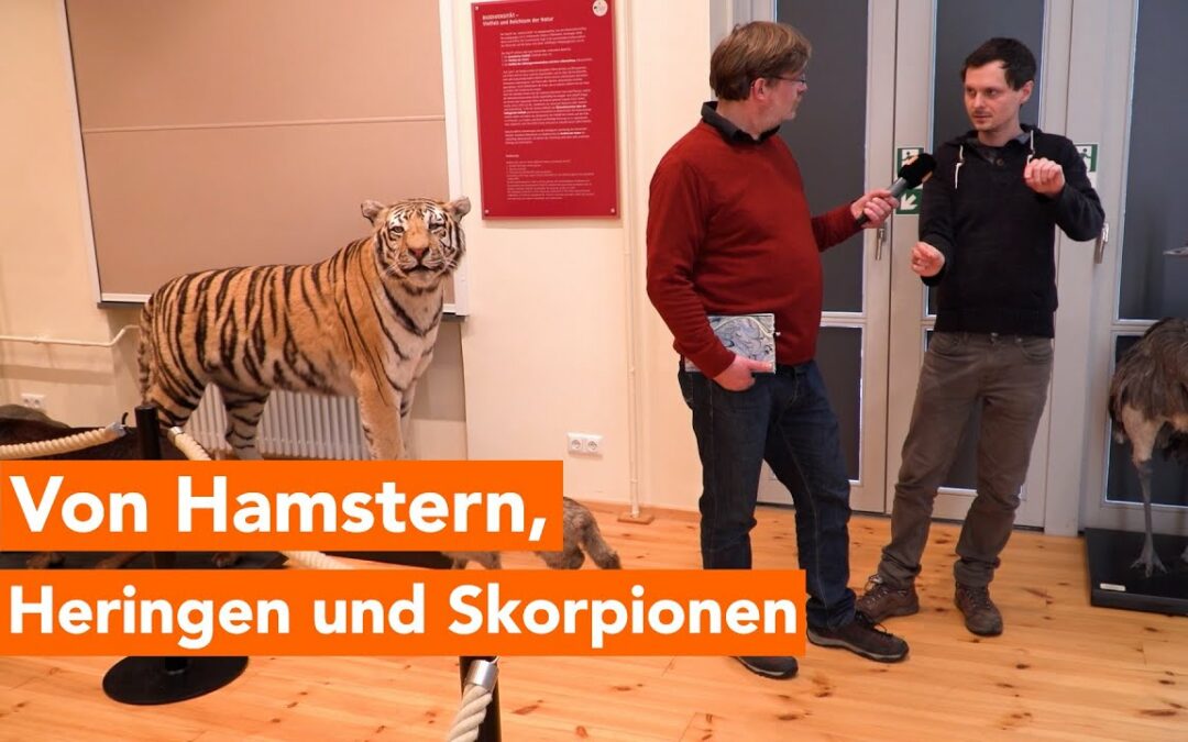 Viel zu sehen in der Zoologie Rostock