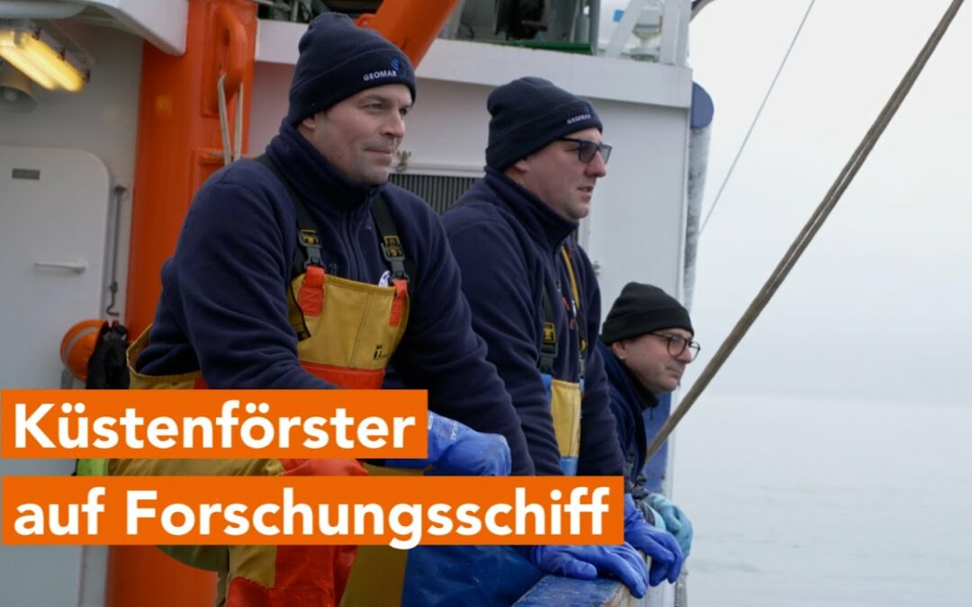 Küstenförster auf Forschungsschiff