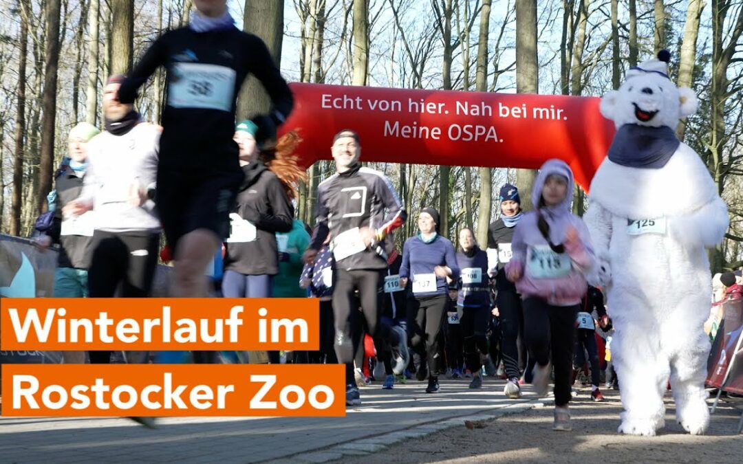 Über 200 Sportler beim Winterlauf im Rostocker Zoo