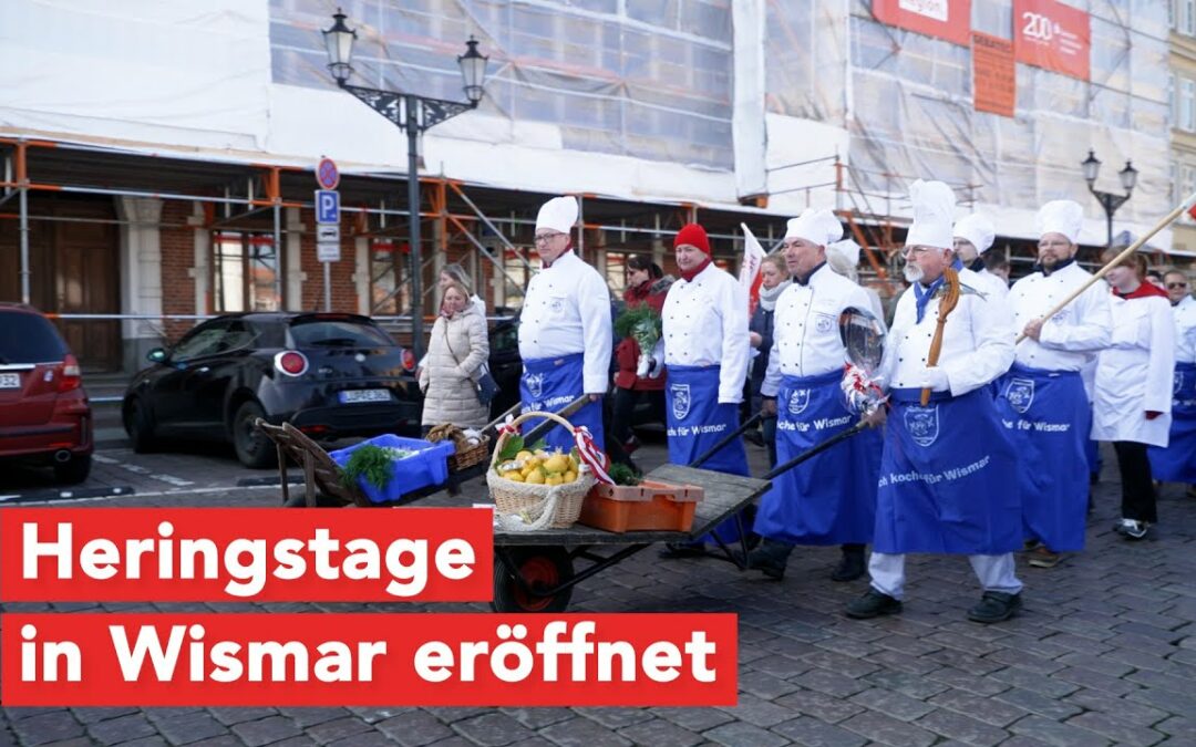 Heringstage in Wismar – bei bestem Wetter und trotz Fangquote