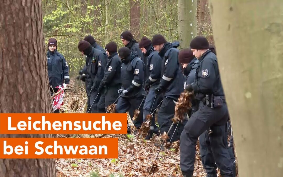 Auf der Suche nach Leiche von vermisstem 81-Jährigen – Polizei durchkämmt Wald bei Schwaan