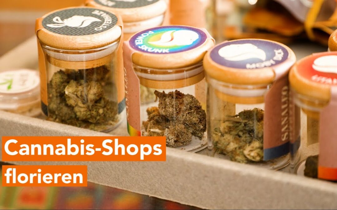 Andrang in Cannabis-Shops seit dem 1. April um ein Vielfaches gestiegen