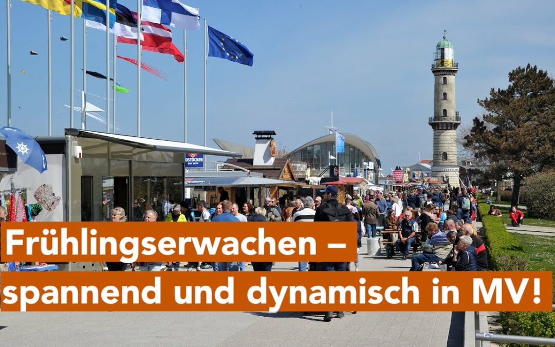 Blicken Sie durch Ostseefische und in die Geschichte zurück – das alles bei uns im Land!