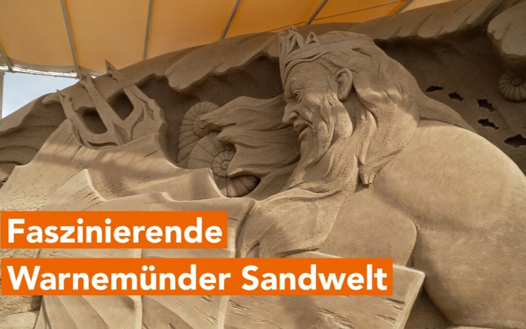 Warnemünder Sandwelt zeigt „Geheimnisvolle Unterwasserwelt“