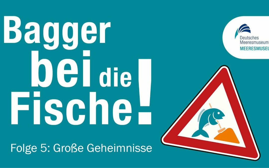 Bagger bei die Fische – Grosse Geheimnisse