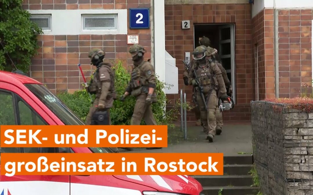 SEK und Polizeigroßaufgebot stellen gefährlichen Hund in Rostock sicher