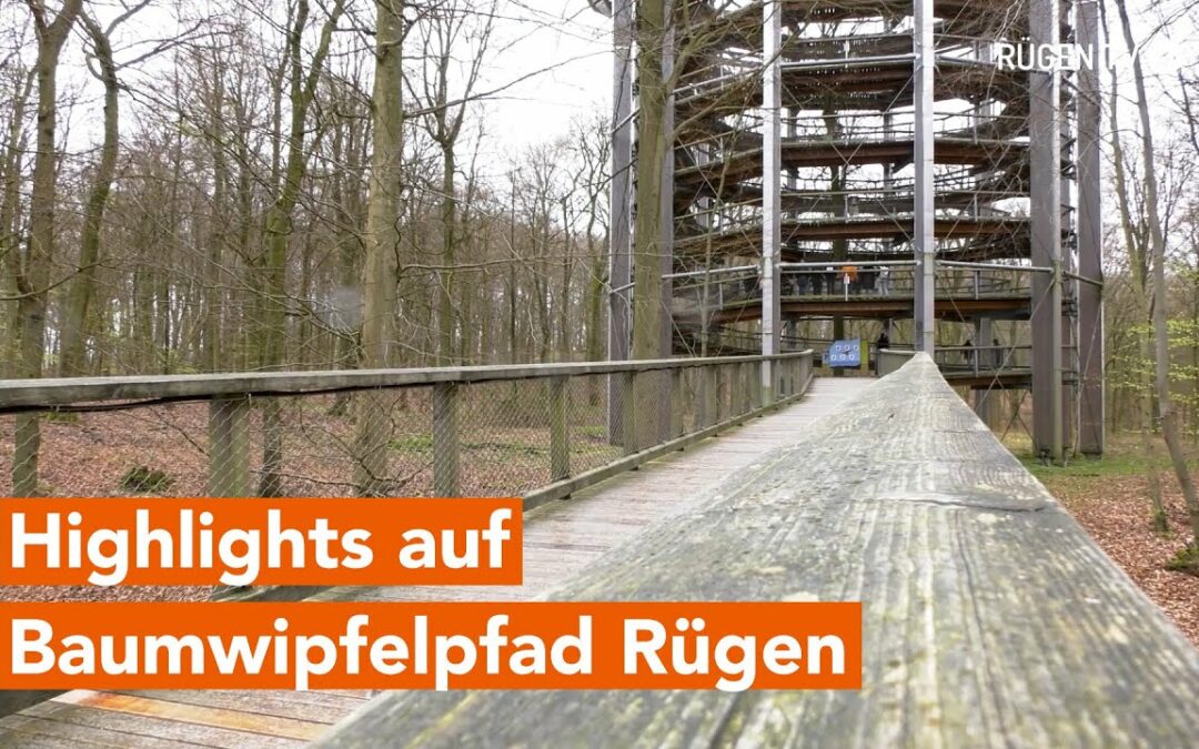 Veranstaltungen am Baumwipfelpfad Rügen