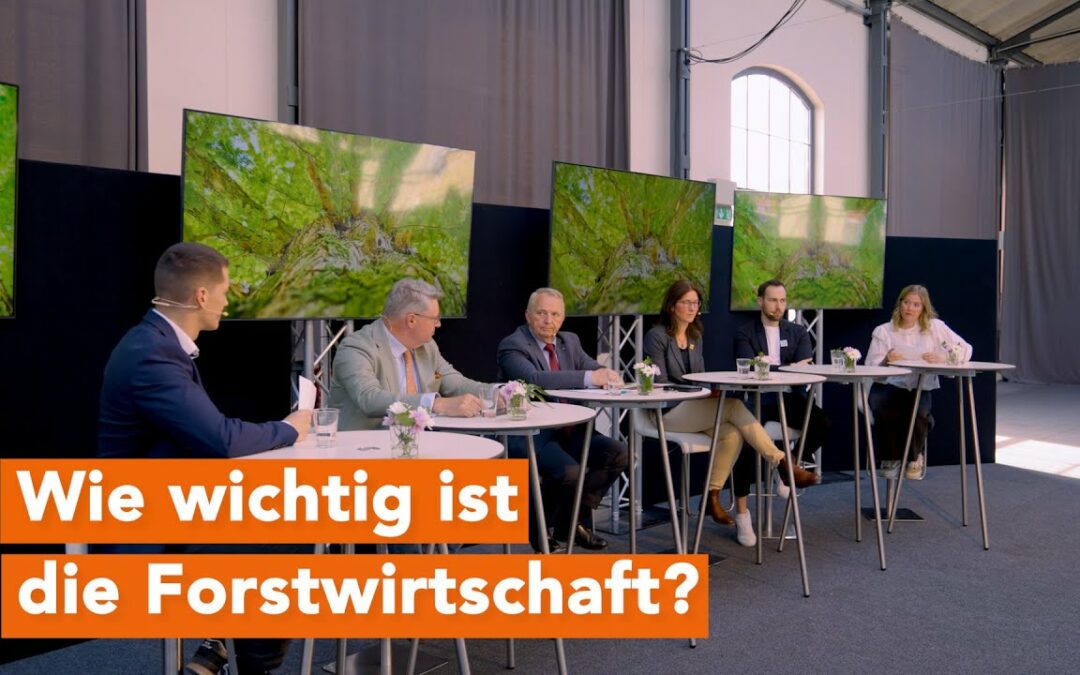 Talk: Ist Holz-Nutzung wirklich Klimaschutz und wie sehen unsere Wälder in MV in Zukunft aus?