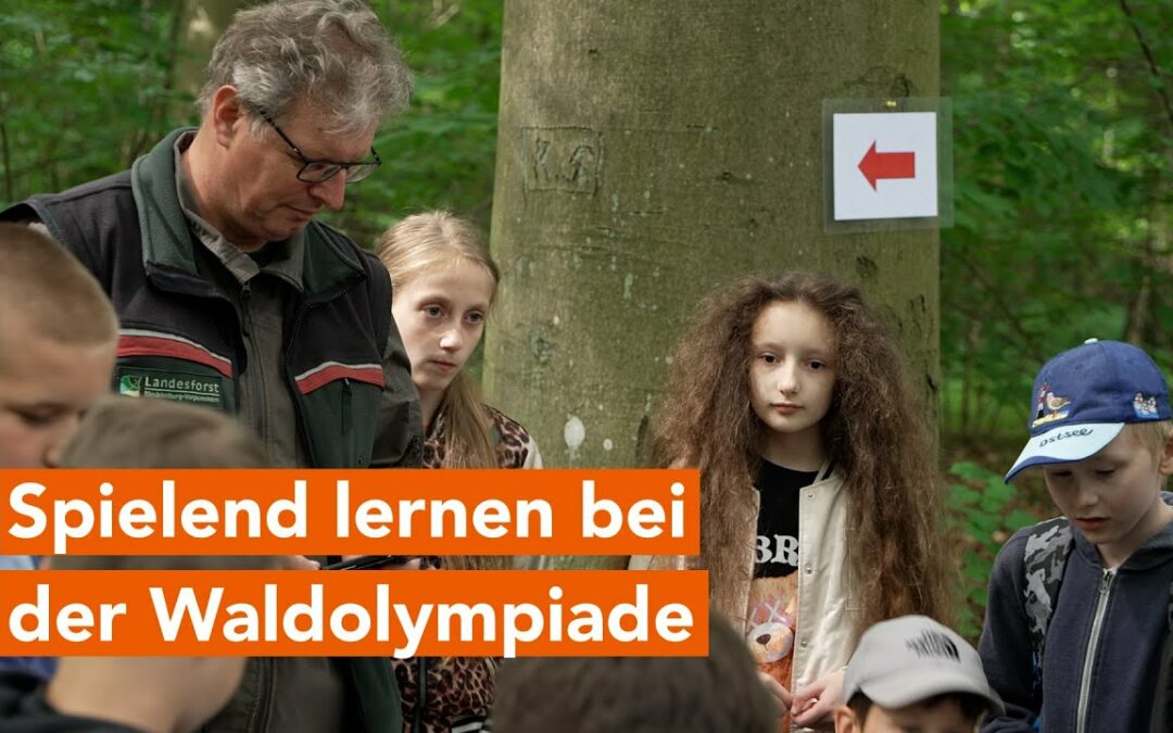 Begeisterte Kinder zwischen duftendem Holz und raschelnden Blättern –  die Waldolympiade