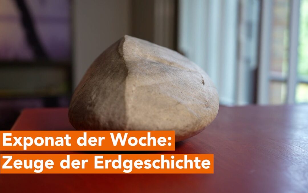 Artefakt aus der letzten Eiszeit im Müritzeum in Waren