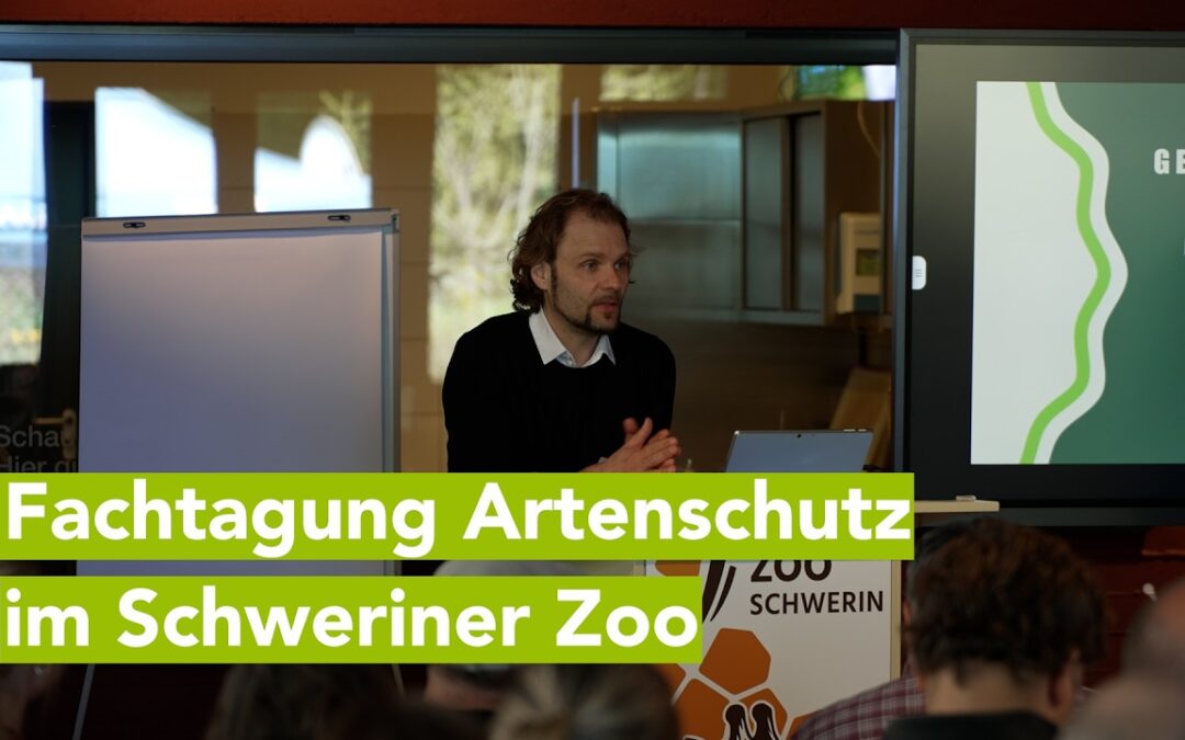 Artenschutz-Tagung im Zoo Schwerin – Fokus auf heimische Arten