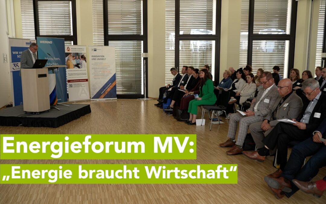 Energieforum in Schwerin: Strategien für die energetische Zukunft des Landes