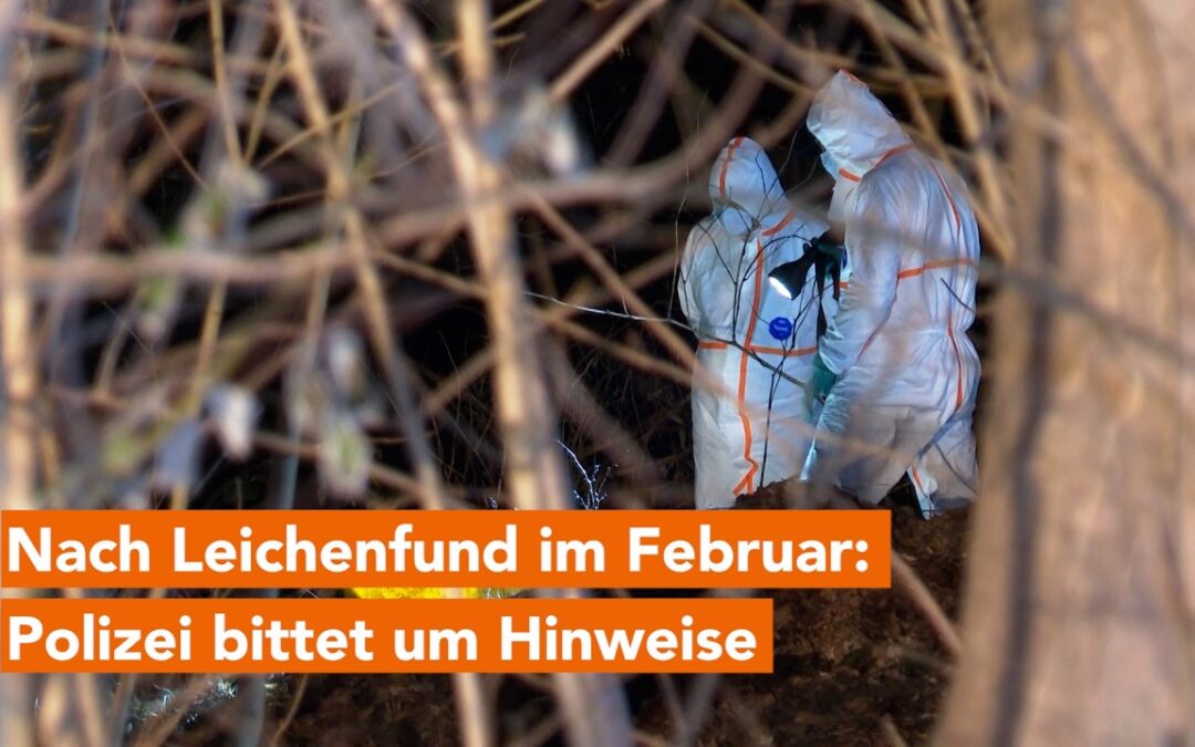 Nach Leichenfund in Rostocker Südstadt: Polizei sucht erneut Zeugen